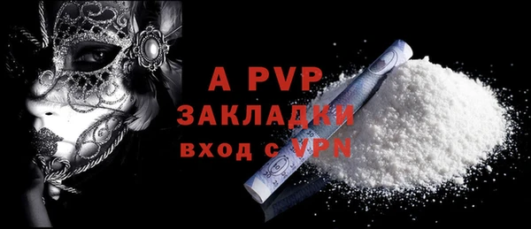 стафф Карпинск