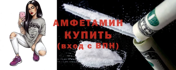 молекула духа Каменка