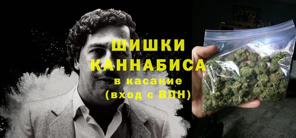 стафф Карпинск