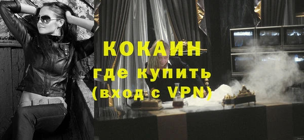 стафф Карпинск