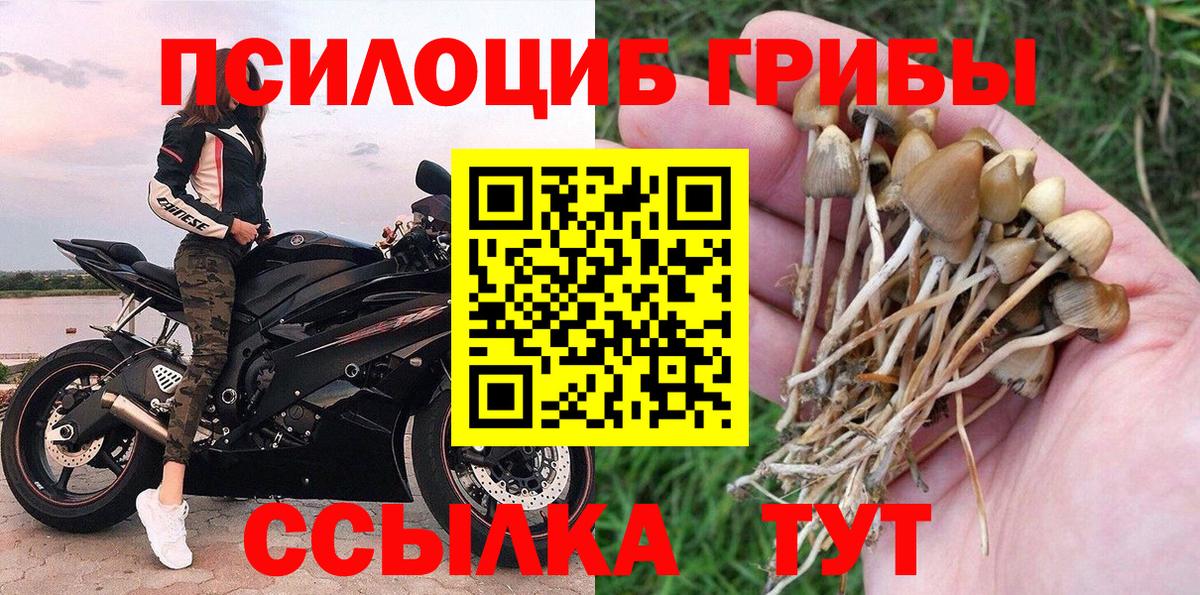 Галлюциногенные грибы Cubensis  Вход с VPN  Одинцово  Псилоцибиновые грибы GOLDEN TEACHER 